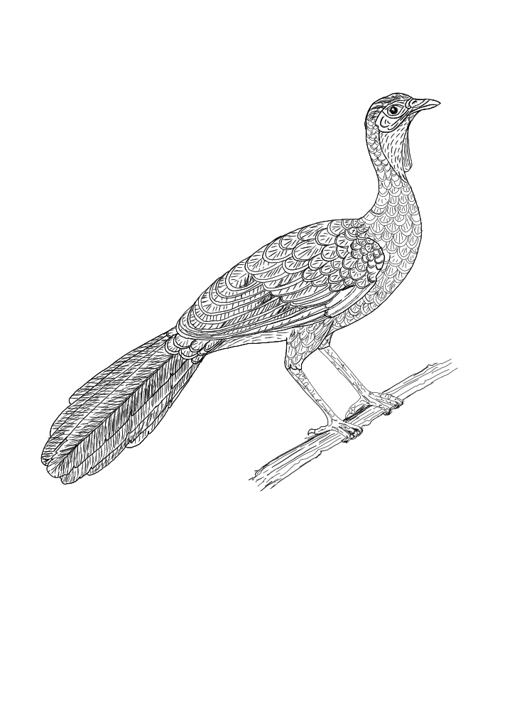 Neckermann Reisen logo