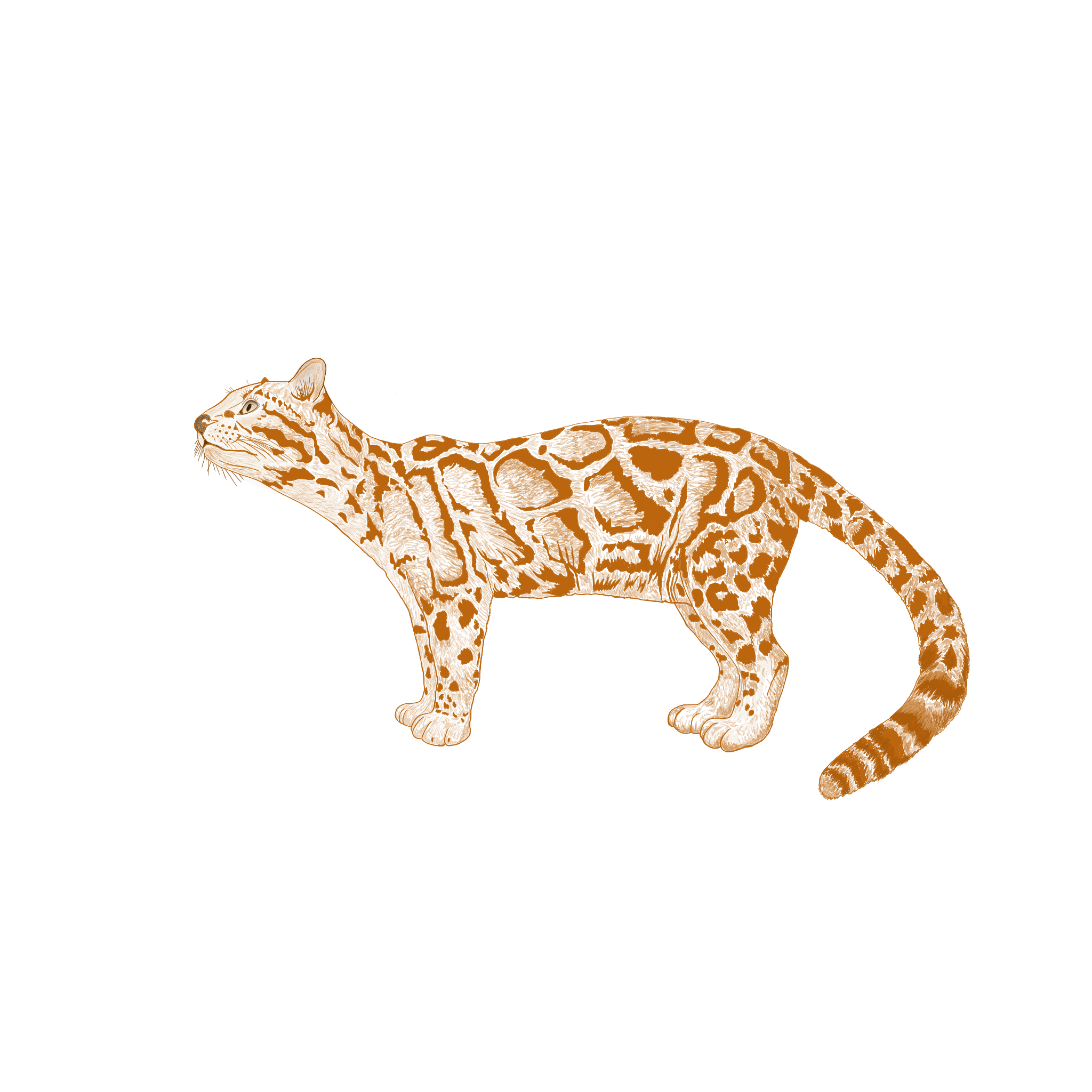 Expedia Logo